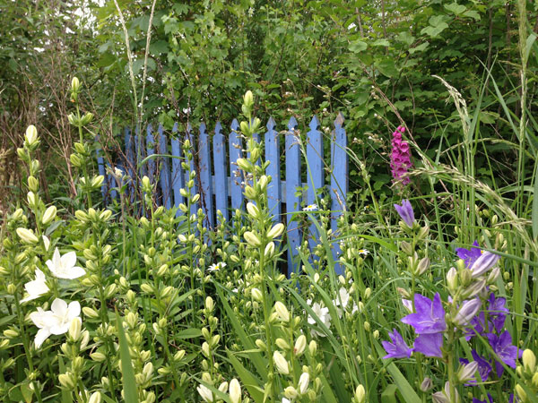 Aménagement De Jardin – Les Carnets De Carreco encequiconcerne Petite Barriere Jardin