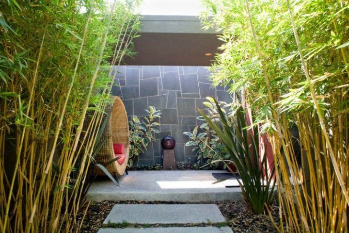 Aménagement Jardin: 27 Idées Pour Intégrer Le Bambou! pour Déco Jardin Bambou