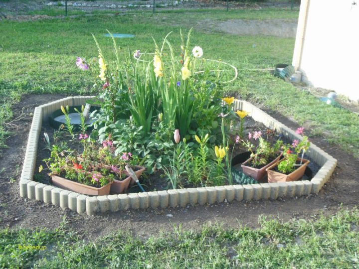 Amenagement Jardin Avec Palmier Beau Fleur Palmier dedans Aménagement Parterre Amenagement Jardin Avec Palmier Beau Fleur Palmier dedans Aménagement Parterre