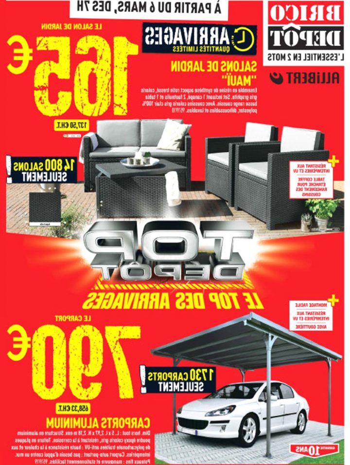 Amenagement Jardin Brico Depot encequiconcerne Incinérateur De Jardin Brico Depot