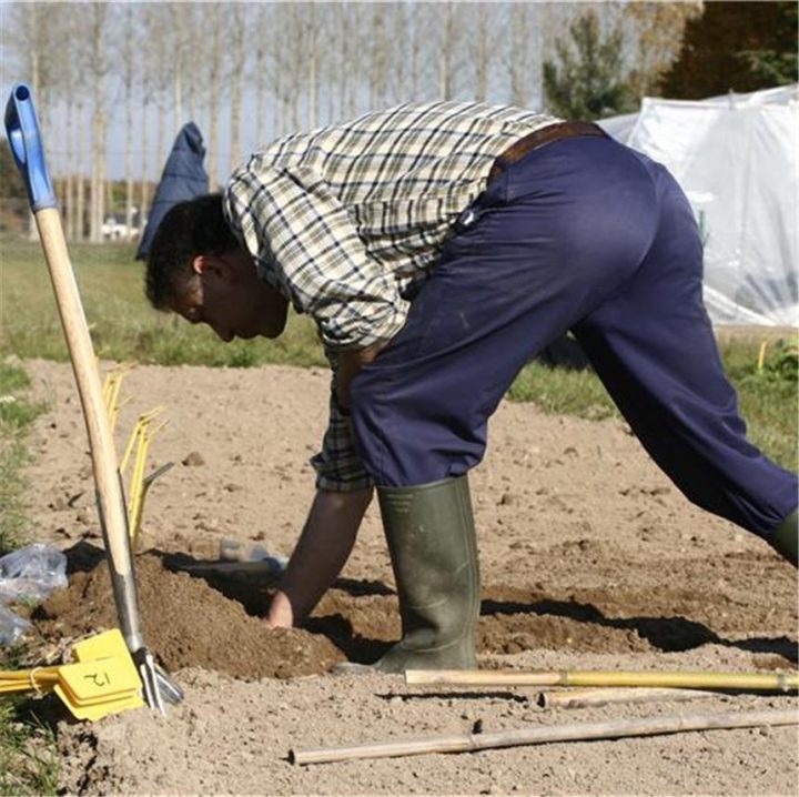 Analyse De Votre Sol – Formule Avec Oligo-Éléments – Ferme destiné Lithothamne Jardin Analyse De Votre Sol – Formule Avec Oligo-Éléments – Ferme destiné Lithothamne Jardin