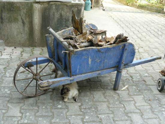 Ancien Matériel De Ferme,Idee Deco Jardin tout Brouette Deco Jardin