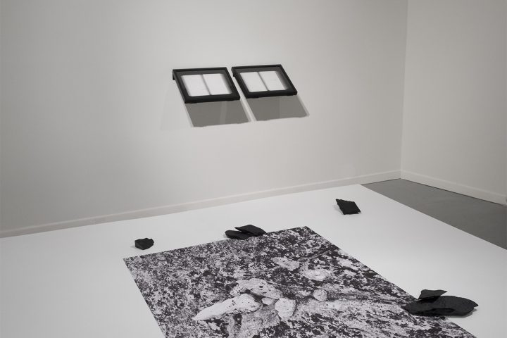 Anne-Marie Proulx encequiconcerne Annie Charland Thibodeau