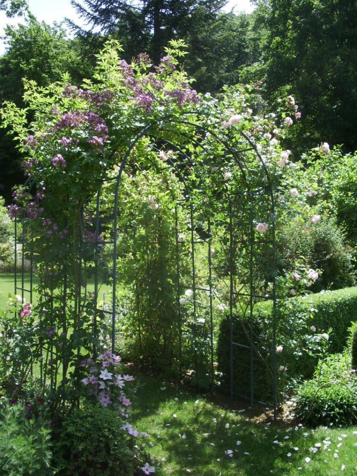Arceau Jardin – Idees Conception Jardin | Idees Conception avec Arceau Jardin