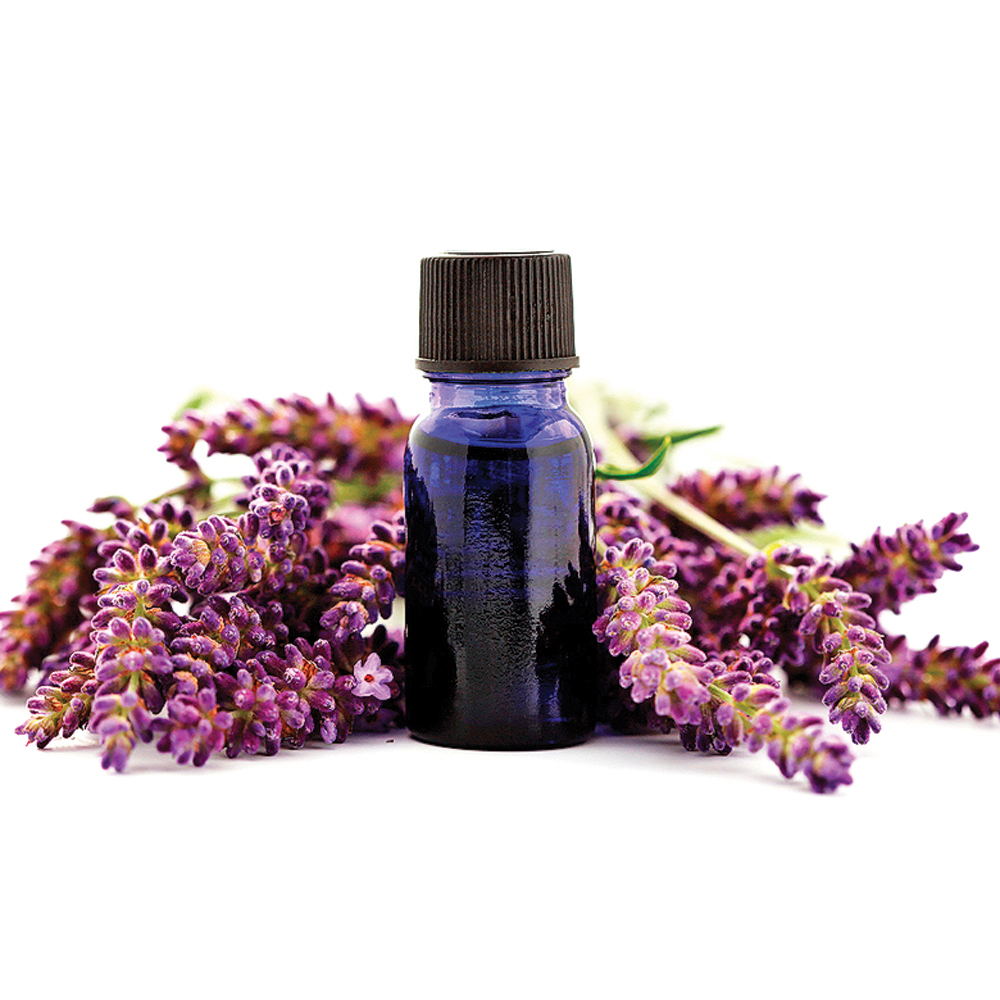 Astuces Pour Masquer Les Mauvaises Odeurs - Je Décore dedans Mauvaises Odeurs Salle De Bain