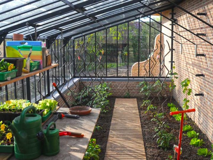 Authentieke Smeedijzeren Serre Als Aanbouwmodel Op Laag avec Serre De Jardin Adossée