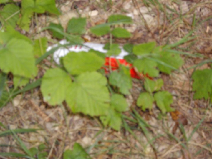 Avoir Confiance… | Le Blog D'Olivyeahh encequiconcerne Gel Douche Femelle