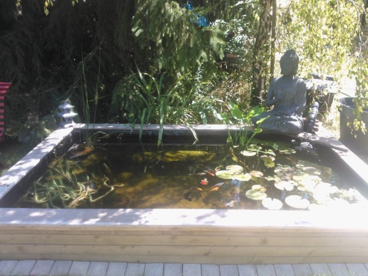 Bassin 3000L Semi Enterré, Partie Hors Sol Bois – Page 3 pour Bassin De Jardin Hors Sol Bassin 3000L Semi Enterré, Partie Hors Sol Bois – Page 3 pour Bassin De Jardin Hors Sol