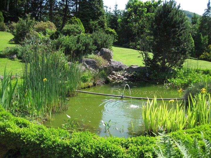 Bassin (Jardinage) — Wikipédia encequiconcerne Bassin De Jardin Préformé