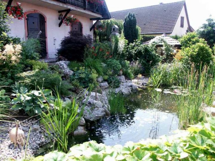 Bassins De Jardin: Le Pôle D'Attraction D'Un Jardin serapportantà Plante Bassin De Jardin