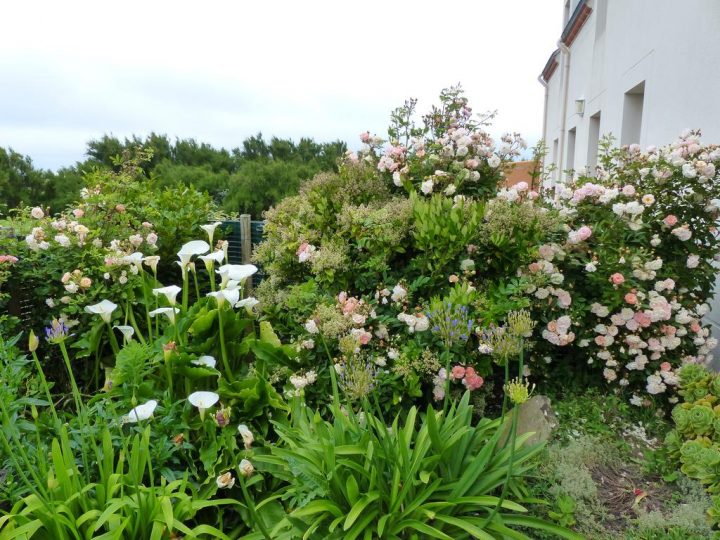 Bed And Breakfast Chambres D'hôtes Aux Poulains, Sauzon pour Chambre D Hote Sauzon Bed And Breakfast Chambres D'hôtes Aux Poulains, Sauzon pour Chambre D Hote Sauzon