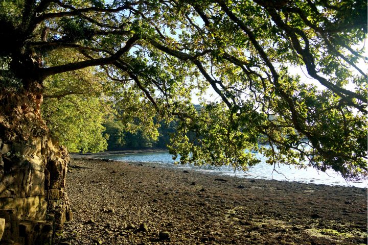 Bienvenue Dans Votre Chambre D'hôtes Au Coeur De La Nature avec Chambre D Hote Carhaix Bienvenue Dans Votre Chambre D'hôtes Au Coeur De La Nature avec Chambre D Hote Carhaix