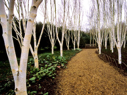 Blancs Comme Neige (Ecorces Décoratives) à Ecorces Jardin Blancs Comme Neige (Ecorces Décoratives) à Ecorces Jardin
