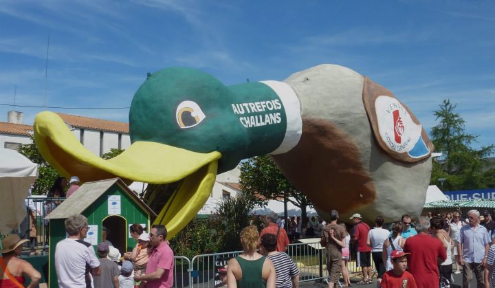 Borderie-Autrefois-Challans-Canard – Chambres Et Table D à Chambre D Hote Challans