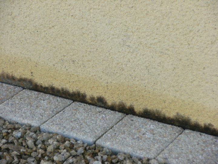 Bordure De Jardin En Ciment Leroy Merlin pour Bordure Jardin Leroy Merlin