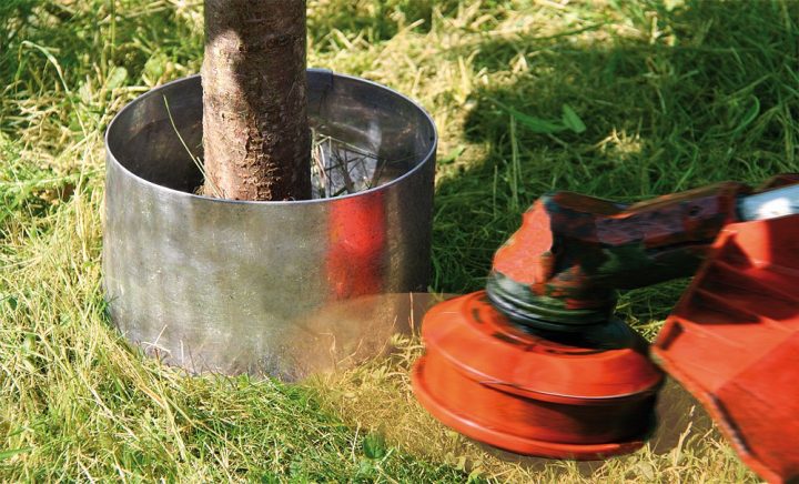 Bordure De Jardin En Métal Circulaire Flexible 40 X 40 X 13 Cm serapportantà Bordure Jardin Metal Bordure De Jardin En Métal Circulaire Flexible 40 X 40 X 13 Cm serapportantà Bordure Jardin Metal