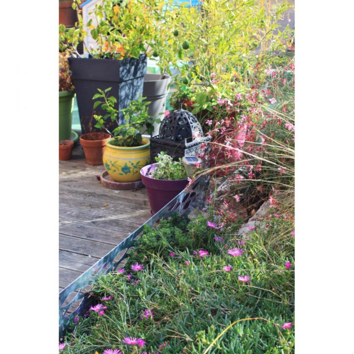 Bordure Jardin à Bordure De Jardin En Acier Galvanisé