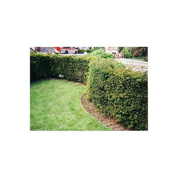 Bordures En Acier Galvanise, Van Den Brûle, Belgique avec Bordure Galvanisé