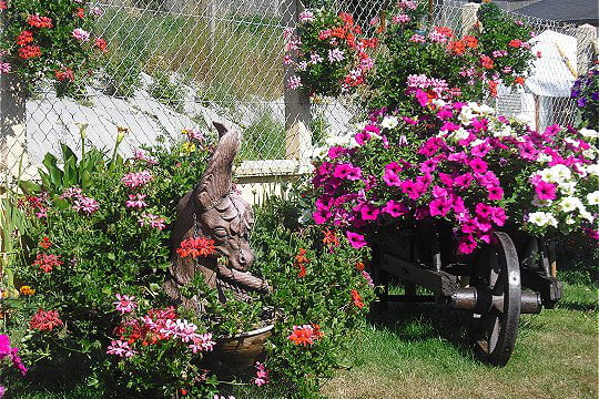 Brouette destiné Brouette Deco Jardin