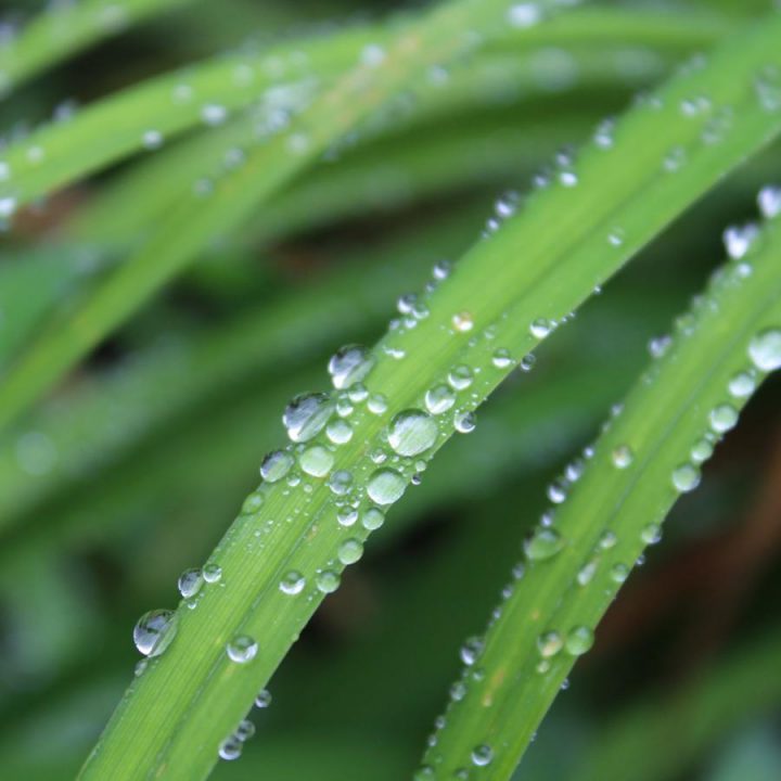 Brumisateur Jardin – Idees Conception Jardin | Idees avec Brumisateur Jardin Brumisateur Jardin – Idees Conception Jardin | Idees avec Brumisateur Jardin