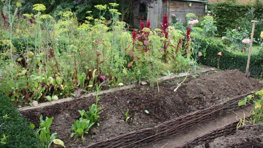 Butte En Permaculture | Jardin Permaculture, Permaculture intérieur Exemple Plan Potager Permaculture Butte En Permaculture | Jardin Permaculture, Permaculture intérieur Exemple Plan Potager Permaculture