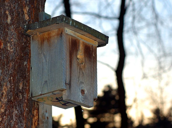 Cabane De Jardin Occasion – Idees Conception Jardin intérieur Cabane De Jardin Occasion Cabane De Jardin Occasion – Idees Conception Jardin intérieur Cabane De Jardin Occasion