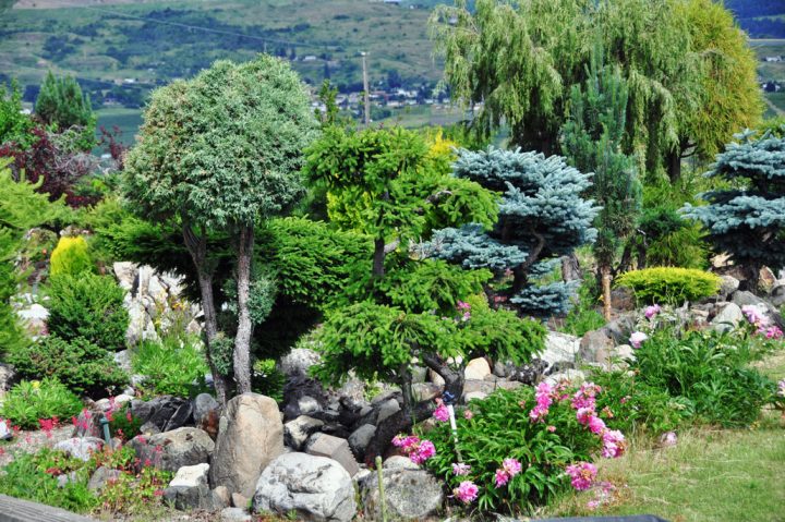 Camelot Haven : Le Paradis Des Lamas… Au Canada intérieur Abri De Jardin Style Japonais