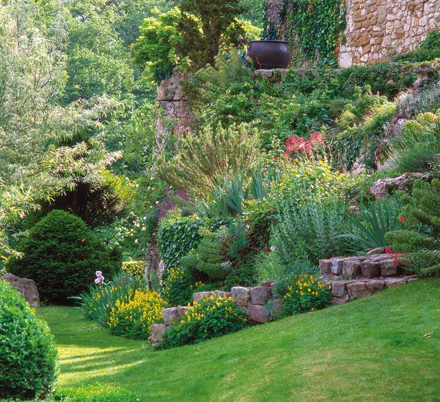 Cascade Florale Pour Pente Abrupte Au Jardin tout Aménager Un Talus En Pente Cascade Florale Pour Pente Abrupte Au Jardin tout Aménager Un Talus En Pente