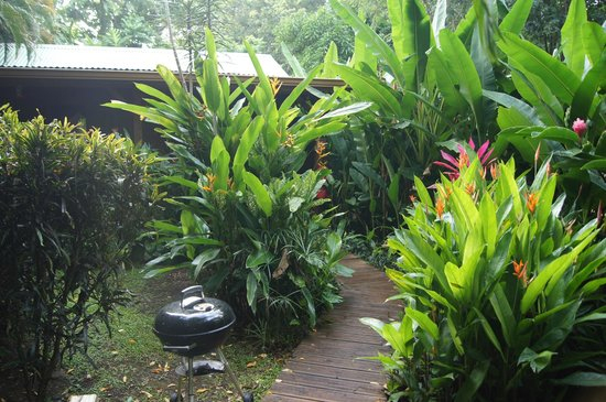 Case Créole – Photo De Au Jardin Des Colibris, Deshaies à Au Jardin Des Colibris Case Créole – Photo De Au Jardin Des Colibris, Deshaies à Au Jardin Des Colibris