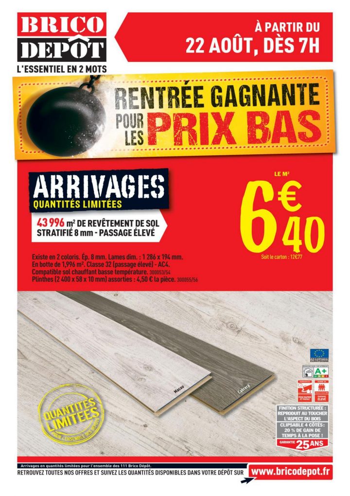 Catalogue Brico Dépôt 22 Août – 04 Septembre 2014 à Catalogue Brico Depot