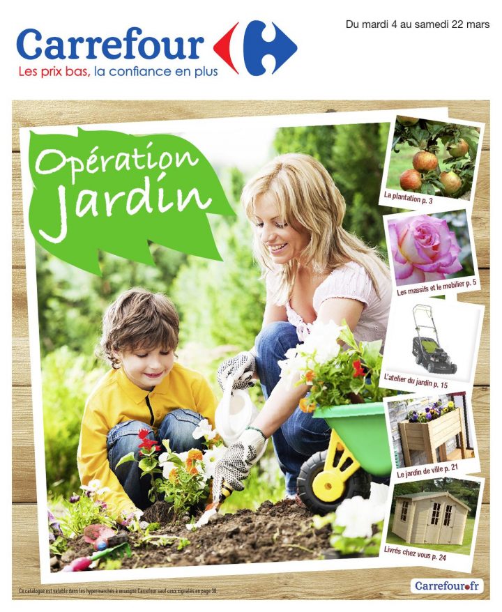 Catalogue Carrefour – 4-22.03.2014Joe Monroe – Issuu intérieur Abri De Jardin Carrefour