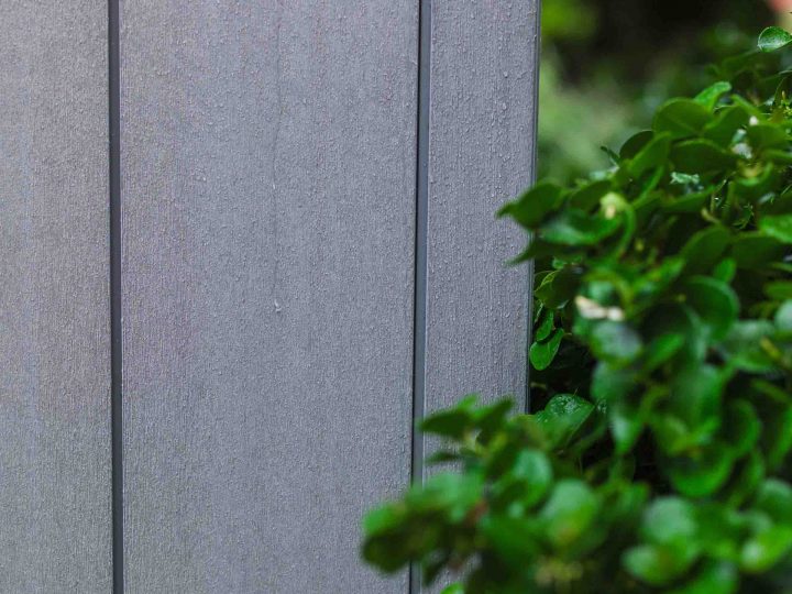 Chalet Jardin : Abri Jardin Résine Brossium® Monopente 117 intérieur Abri Jardin Monopente