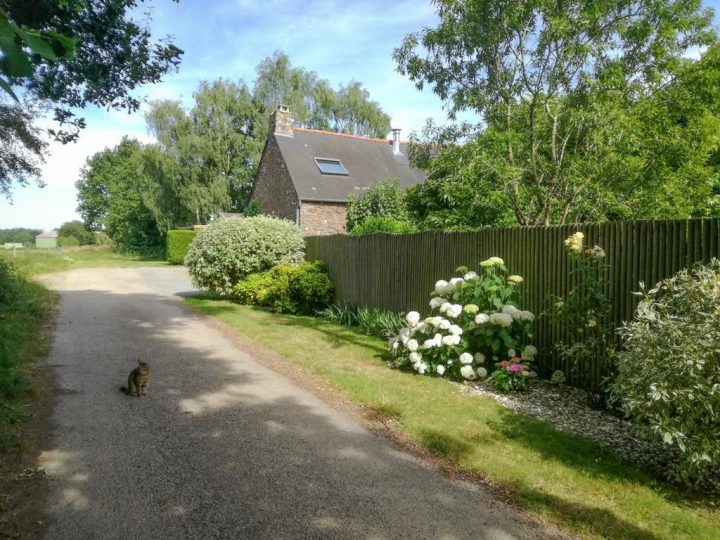 Chambre D'hôte, Bed & Breakfast Ploërmel serapportantà Chambre D Hote Ploermel Chambre D'hôte, Bed & Breakfast Ploërmel serapportantà Chambre D Hote Ploermel