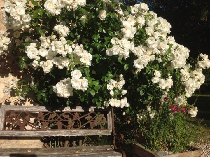 Chambre D'Hôtes De Charme Aix En Provence Avec Piscine pour Chambre D Hotes Aix En Provence