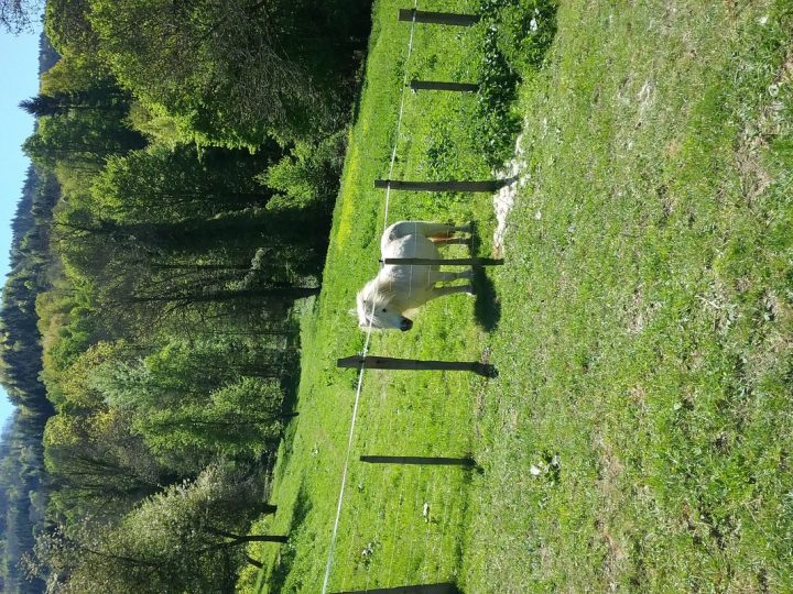 Chambre D'Hôtes Du Couvat : Chambre D'Hote Saint-Jean-Le destiné Chambre D Hote Annecy Le Vieux