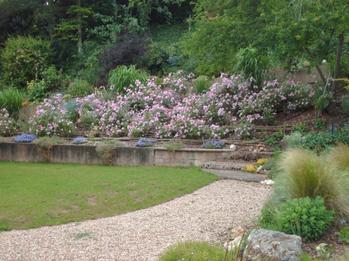 Chambre D'hôtes La Prairie, Familienzimmer Chasseneuil Du Poitou dedans Chambre D Hote Chasseneuil Du Poitou