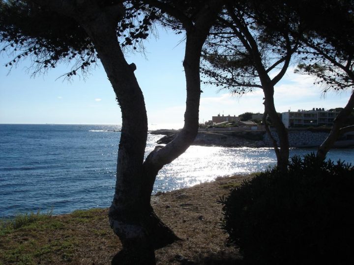 Chambre D'hôtes Mer Et Soleil – Chambre D'hôtes À Sausset encequiconcerne Chambre D Hote Sausset Les Pins