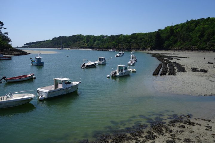 Chambres D'hotes "le Chêne De Nevez", Zimmern Névez, Bretagne encequiconcerne Chambre D Hotes Nevez