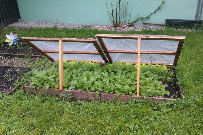 Châssis De Jardin: Quelles Utilisations ? | Jardipartage avec Chassis Jardin
