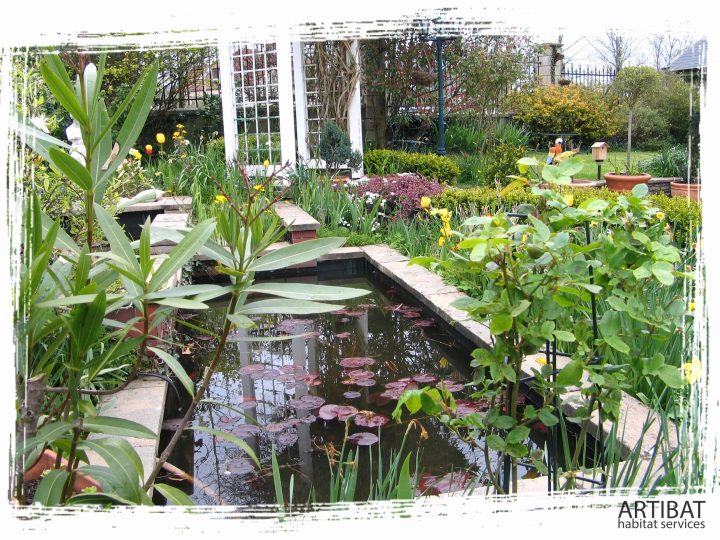 Cloture Jardin Pas Cher Brico Depot Le Meilleur De Abri pour Abri De Jardin Pas Cher Brico Depot Cloture Jardin Pas Cher Brico Depot Le Meilleur De Abri pour Abri De Jardin Pas Cher Brico Depot