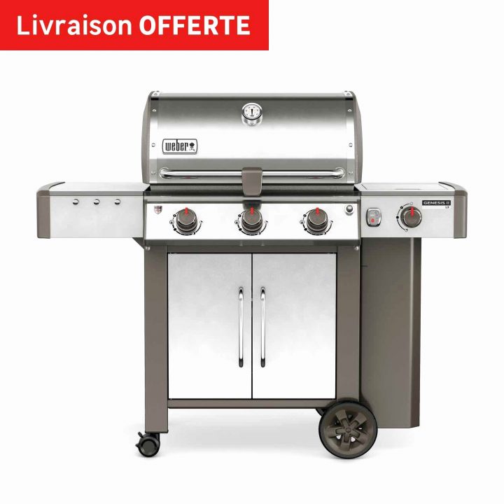 Coffres De Jardin Leroy Merlin – Gamboahinestrosa destiné Coffre Jardin Leroy Merlin