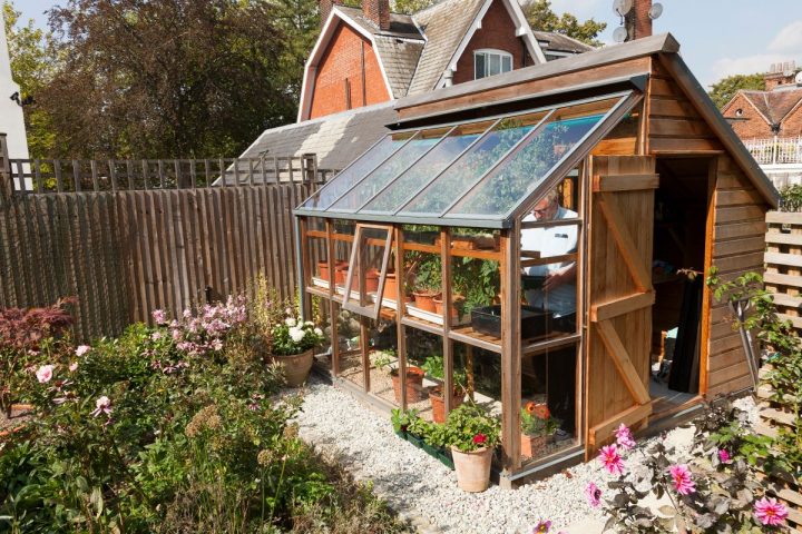 Combiné Serre Et Abris De Jardin | Cabanne | Trees To à Cabanne De Jardin Combiné Serre Et Abris De Jardin | Cabanne | Trees To à Cabanne De Jardin