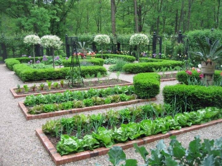 Comment Aménager Son Jardin Et Organiser L'Espace (Avec à Aménagement Potager Idées