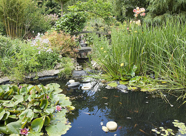 Comment Aménager Un Bassin Dans Son Jardin dedans Plante Bassin De Jardin