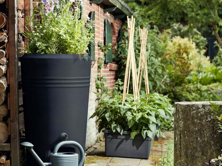 Comment Choisir Son Récupérateur D'eau De Pluie ? | Leroy Merlin serapportantà Robinet Cuve 1000 Litres Leroy Merlin Comment Choisir Son Récupérateur D'eau De Pluie ? | Leroy Merlin serapportantà Robinet Cuve 1000 Litres Leroy Merlin