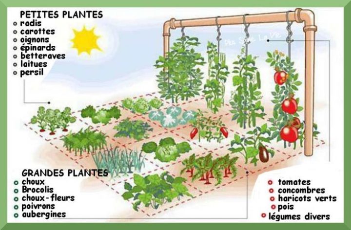 Comment Créer Un Jardin Potager Sur 1 Mètre Carré | Jardin encequiconcerne Exemple Plan Potager Permaculture