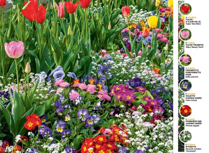 Comment Créer Un Massif Pour Le Printemps : Pas-À-Pas dedans Vermiculite Jardin