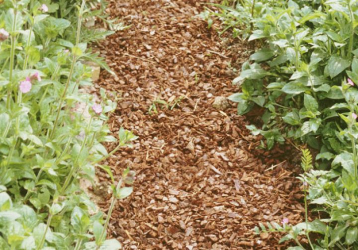 Comment Créer Une Allée En Copeaux De Bois destiné Copeaux De Bois Pour Jardin