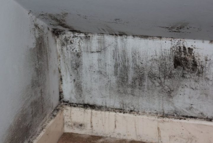 Comment Éliminer Les Moisissures Qui Envahissent La Maison pour Moisissure Plafond Salle De Bain