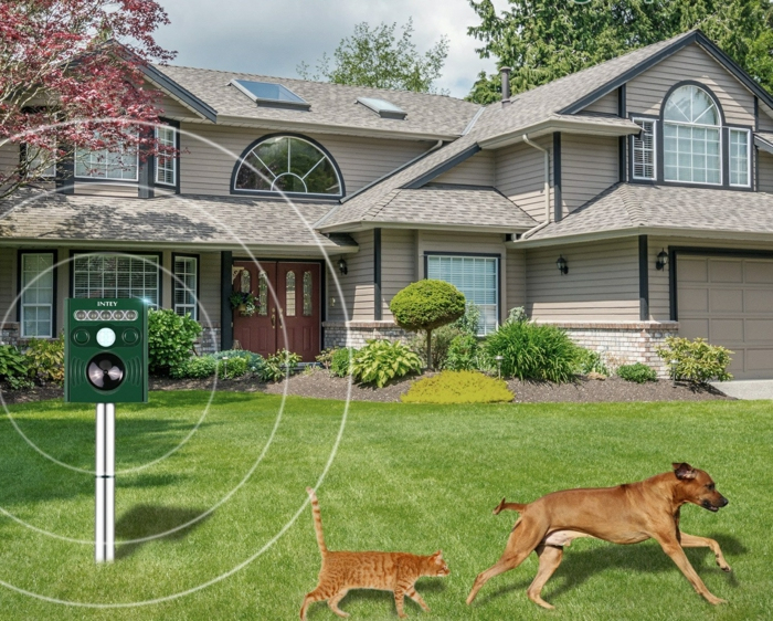 Comment Éloigner Les Chats Du Jardin : Petits Trucs À Savoir avec Repousse Chat Jardin Comment Éloigner Les Chats Du Jardin : Petits Trucs À Savoir avec Repousse Chat Jardin